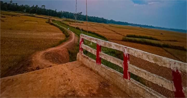 কালিয়াকৈর আলোয়া বিলের সড়ক চলাচলের অনুপযোগী
