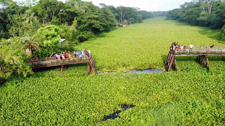 সেতু ভেঙে ৯ জন নিহতের ঘটনায় তদন্ত কমিটি গঠন