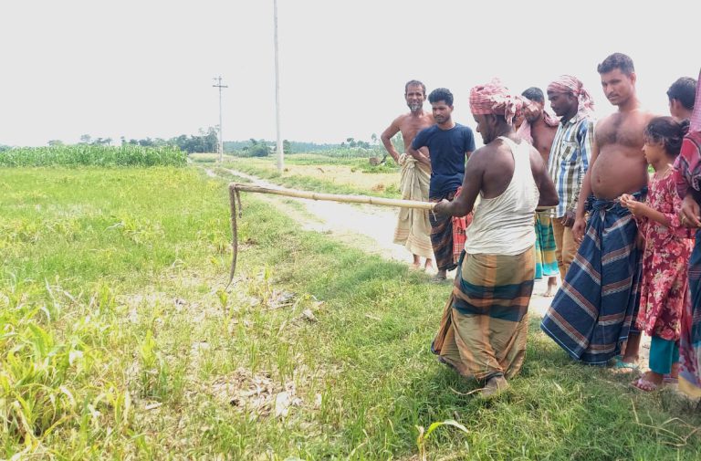 রাসেলস ভাইপারের আতঙ্কে চরাঞ্চলের মানুষ