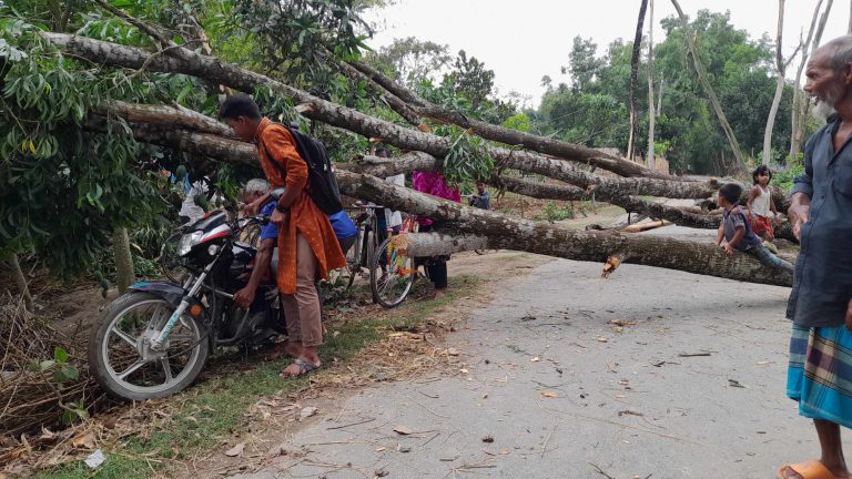 ঠাকুরগাঁওয়ে ১২ মিনিটের ঝড়ে লন্ডভন্ড ২০টি গ্রাম, ৩ জনের মৃত্যু