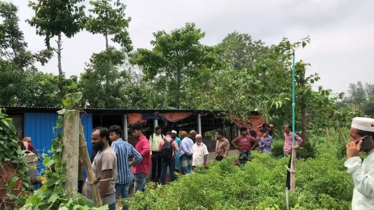 খামার থেকে ২৫ লাখ টাকা মূল্যের ১৩টি গরু লুট