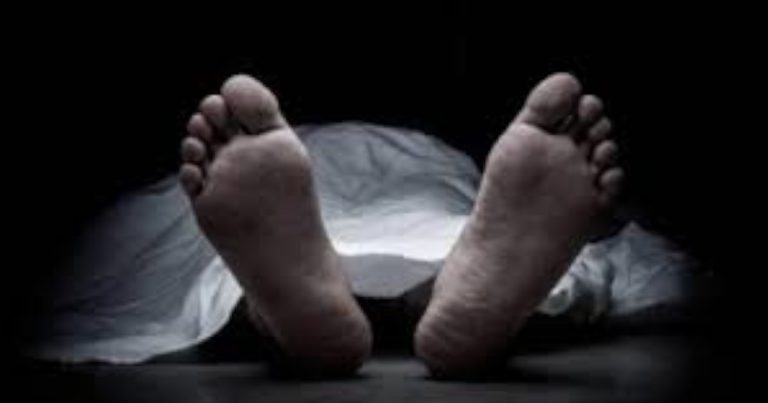 ঝিনাইদহে পিকআপ ভ্যান চাপায় যুবক নিহত