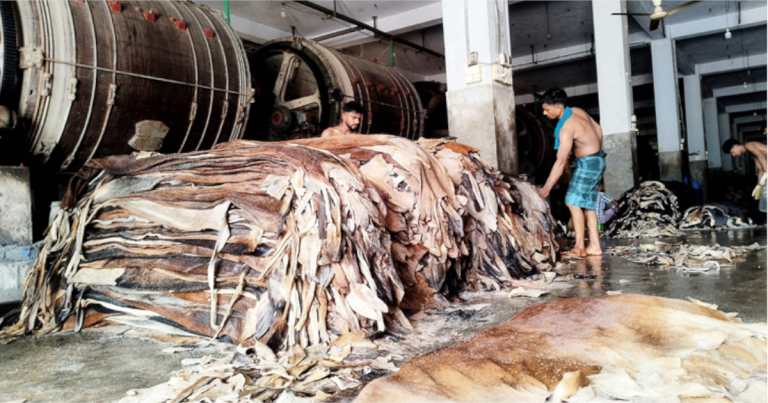বিপর্যয়ের মুখে সাভারের চামড়া শিল্প নগরী
