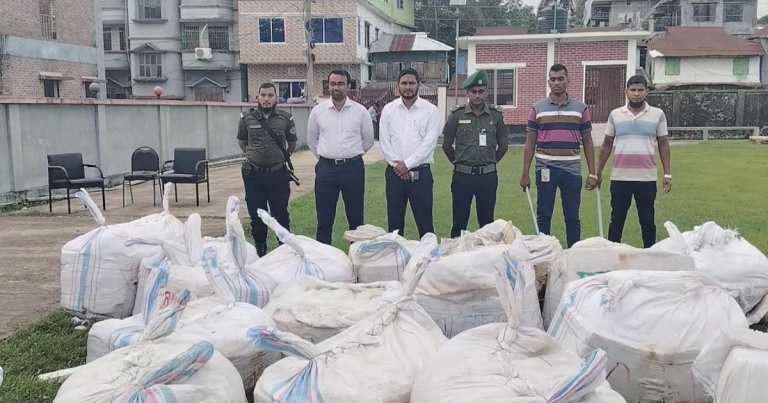 ২ মণ ইলিশসহ পিকআপ জব্দ, ১১ ব্যবসায়ীকে জরিমানা