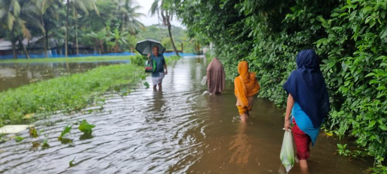নোয়াখালীতে বন্যা পরিস্থিতি অবনতি, খাদ্য সংকট- সাপ আতঙ্কে নাকাল
