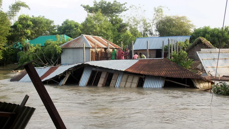 বন্যায় মৃতের সংখ্যা বেড়ে ৩১