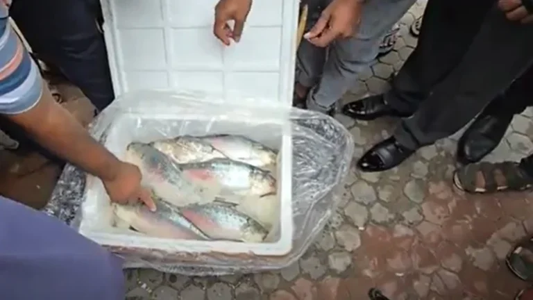 ১২০০ টাকা কেজিতে ভারত গেল ইলিশের প্রথম চালান