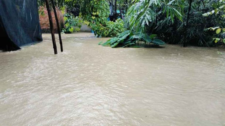 ফেনীর মুহুরী নদীর পানি ৮ সেন্টিমিটার বিপদ সীমার নিচ দিয়ে প্রবাহিত