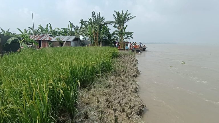 কুড়িগ্রামে নদী ভাঙনে কাছে অসহায় নদী পাড়ের মানুষ