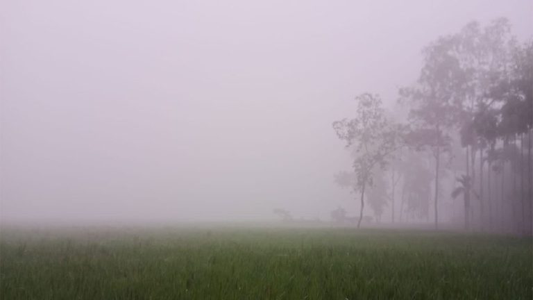 লালমনিরহাটে কুয়াশার চাদরে শীতের হাতছানি