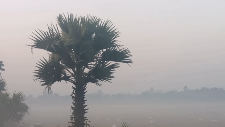 ১৩.৫ ডিগ্রিতে নামল পঞ্চগড়ের তাপমাত্রা