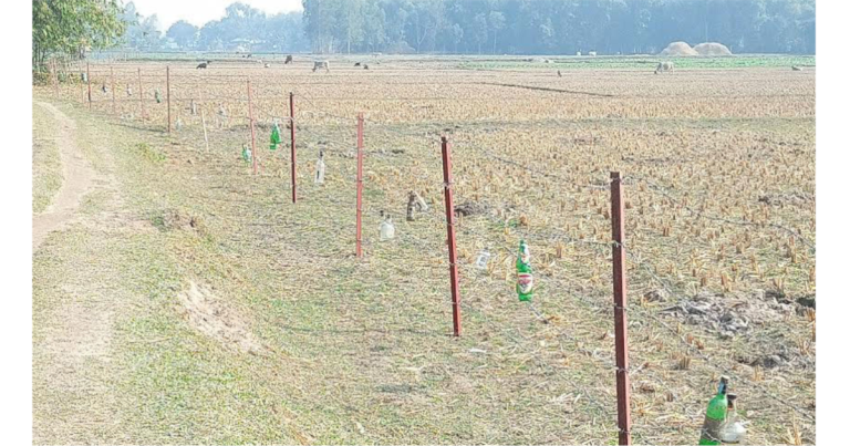 দহগ্রাম সীমান্তে ফের কাঁটাতারের বেড়া, মুখোমুখি বিজিবি-বিএসএফ