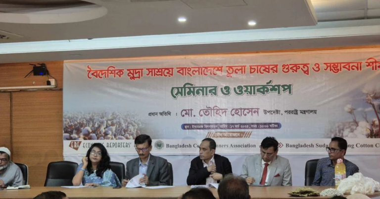 বিশ্বব‍্যাপী ভারতীয় মিডিয়া বাংলাদেশের বদনাম ছড়াচ্ছে: পররাষ্ট্র উপদেষ্টা