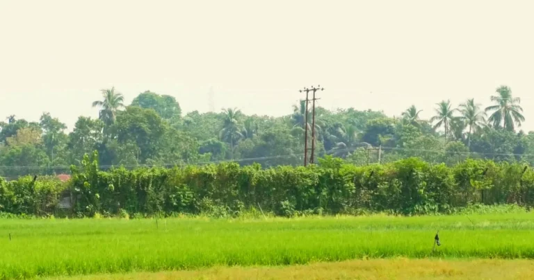 আখাউড়া সীমান্তে বিএসএফের গুলিতে বাংলাদেশি যুবক আহত