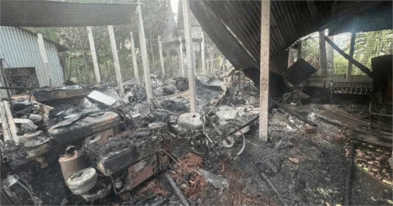 পহেলা বৈশাখে মোটিফ বানানো চিত্রশিল্পীর বাড়িতে দুর্বৃত্তদের আগুন