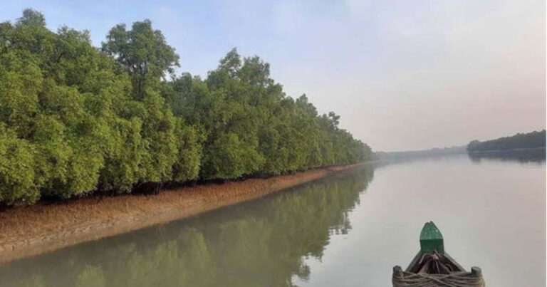 সুন্দরবনে ছয় নারীসহ ৩৩ জেলেকে উদ্ধার