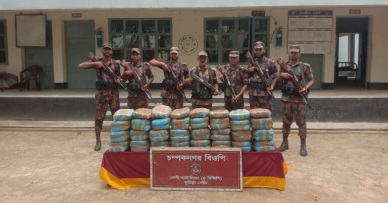 ফেনী সীমান্তে ৭৬ কেজি ভারতীয় গাঁজা জব্দ