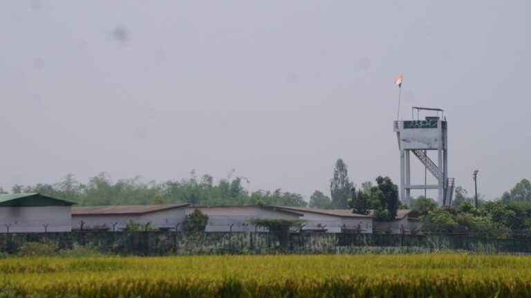 শূন্য রেখায় ধান কাটতে ভয় পাচ্ছে দিনাজপুরের চাষিরা