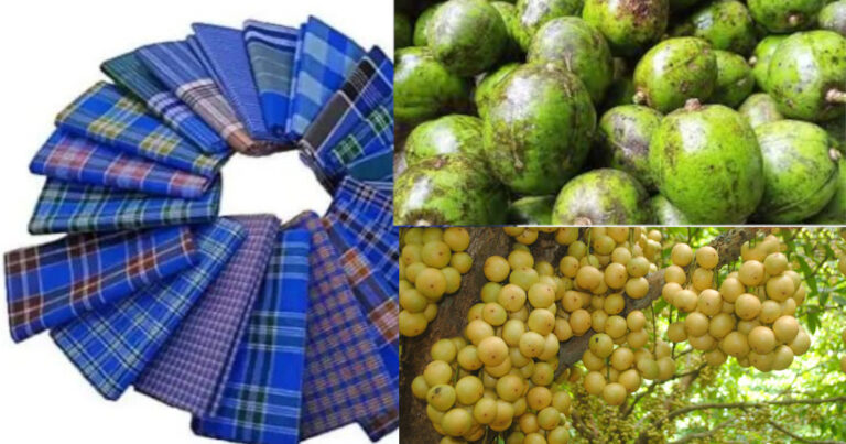 জিআই পণ্যের স্বীকৃতি পেল ২৪ পণ্য