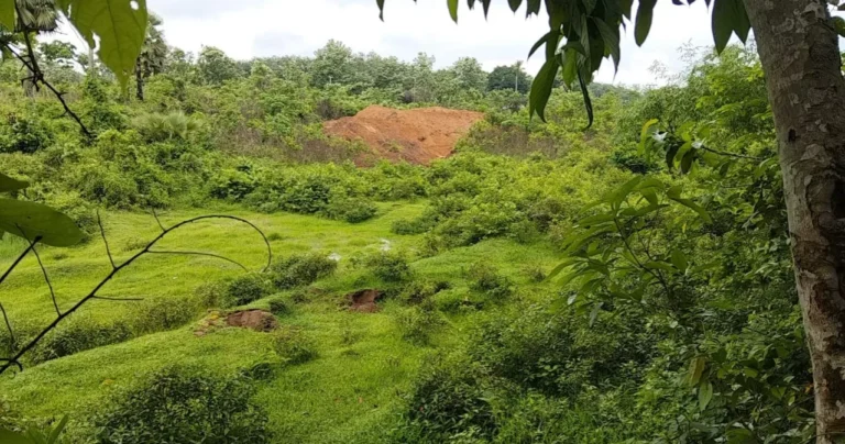পশুরাম সীমান্তে শূন্যরেখায় বিএসএফের খাল খননের চেষ্টা, বিজিবির বাধা