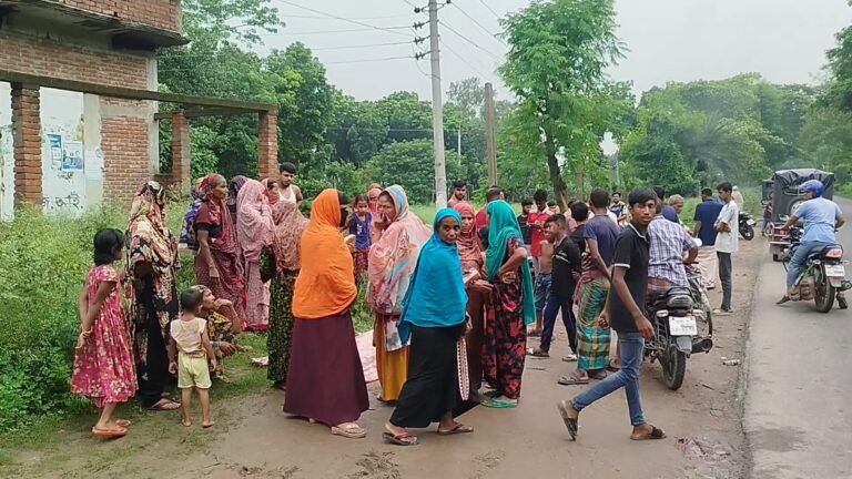 ঝিনাইদহে ট্রাকচাপায় নারী নিহত