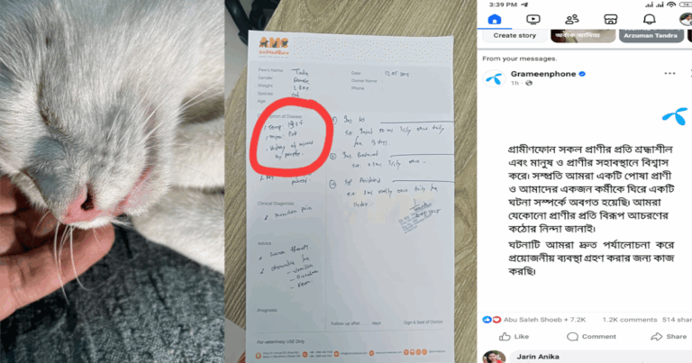 বিড়াল নির্যাতন: সেই উপ-পরিচালকের বিরুদ্ধে ব্যবস্থা নিবে গ্রামীণফোন