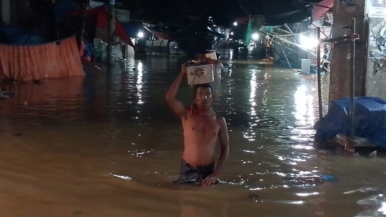 মুহুরী ও সিলোনিয়া নদীর বাঁধ ভেঙে লোকালয় প্লাবিত