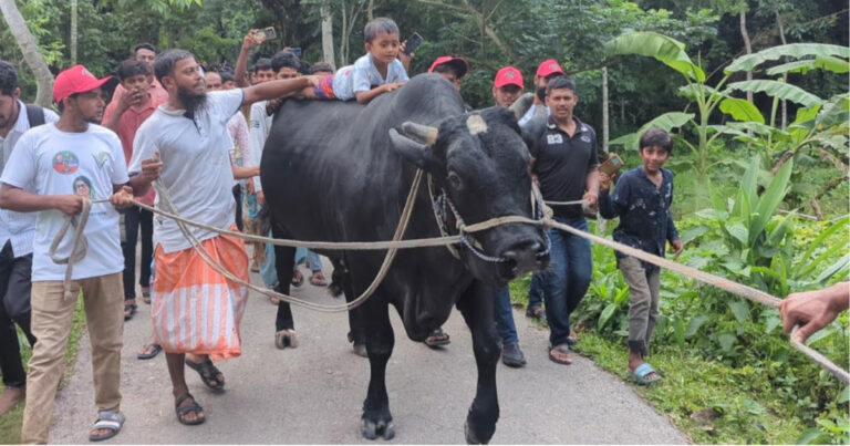‘কালো মানিক’ নিয়ে খালেদা জিয়ার বাসভবন পথে কৃষক সোহাগ