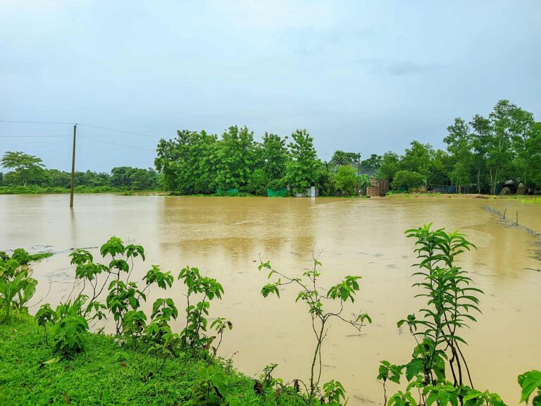 ফেনীর তিন নদীর বন্যা নিয়ন্ত্রণ বাঁধের ১৪টি স্থানে ভাঙন, ৩০ গ্রাম প্লাবিত