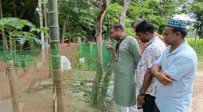মাইলস্টোন ট্রাজেডি: চিকিৎসক হওয়ার স্বপ্ন পূরণ হলো না ফাতেমার