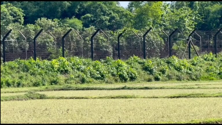 ফেনী সীমান্তে বাংলাদেশিকে নিয়ে গেছে বিএসএফ