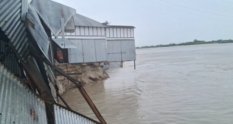 পদ্মার ভাঙনে বিলীন একাধিক ব্যবসাপ্রতিষ্ঠান