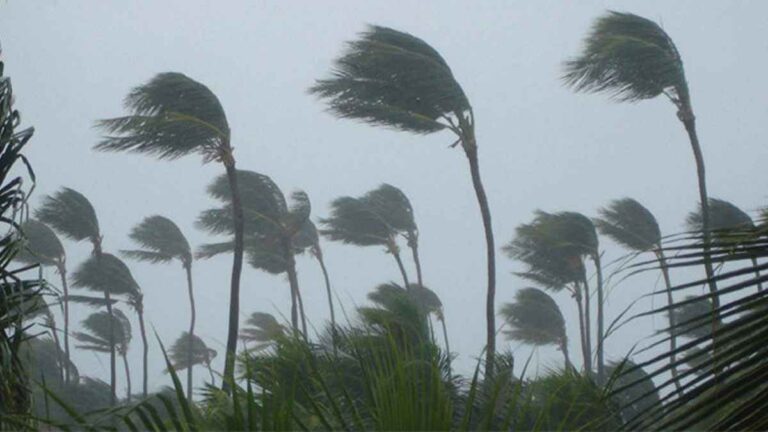 দেশের ৭ জেলায় ঝড়ের পূর্বাভাস