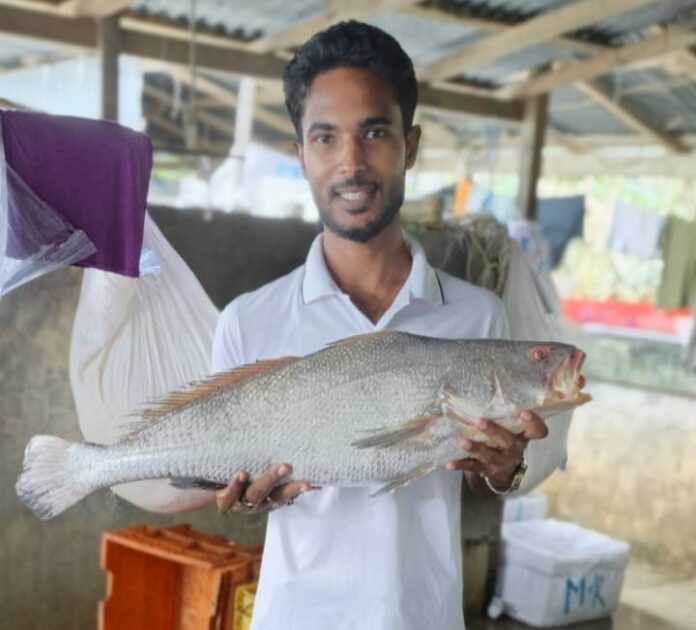 এক পোয়া মাছ বিক্রি ৮০ হাজার টাকায়