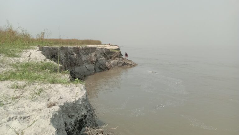 দুই মাসে পদ্মার পেটে ২০০ হেক্টর জমি