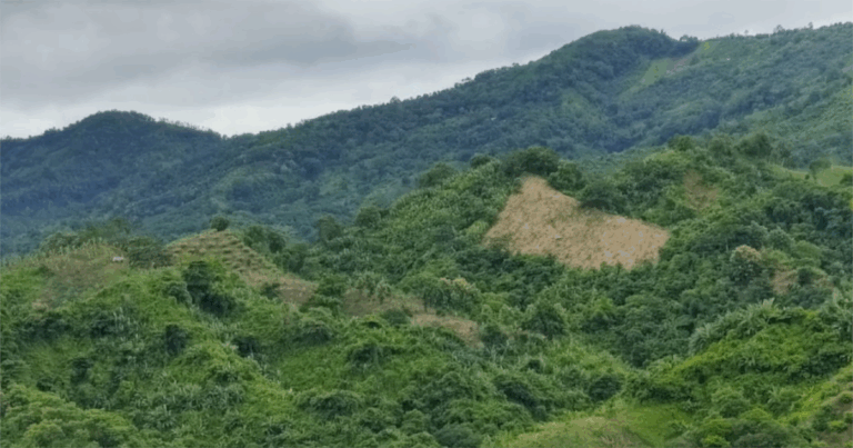 ১ অক্টোবর খুলছে না কেওক্রাডং পর্যটন কেন্দ্র