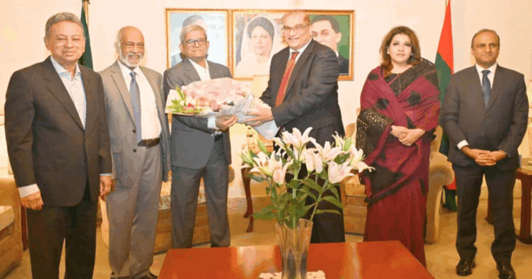 বিএনপি নেতাদের সঙ্গে সৌজন্য সাক্ষাৎ করেছেন পাকিস্তান হাইকমিশনার
