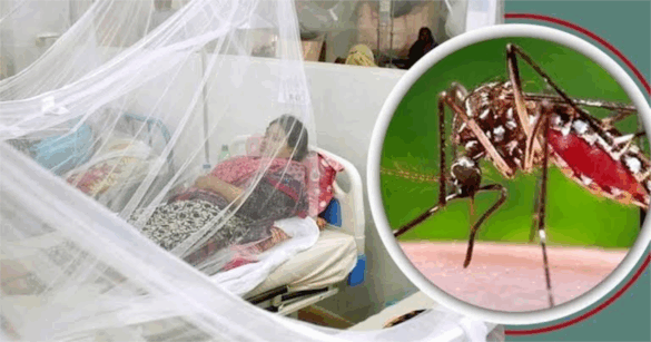 ডেঙ্গু ৩