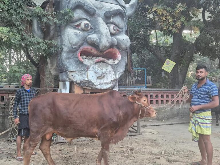 শেখ হাসিনার মৃত্যুদণ্ড, টিএসসিতে ভূরিভোজের আয়োজন