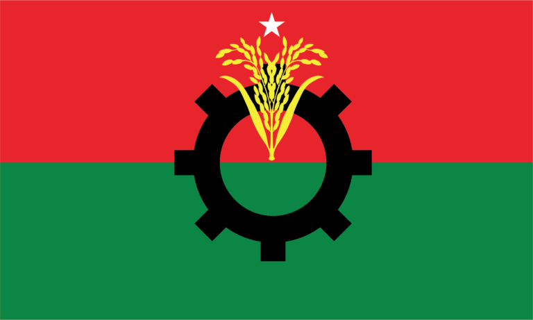 পাবনায় নির্বাচনী প্রচারে নেতাকর্মীদের ওপর হামলায় বিএনপির নিন্দা