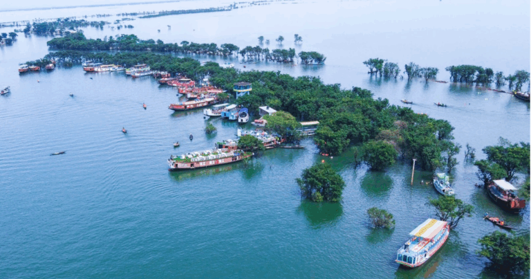 টাঙ্গুয়ার হাওরে গান-বাজনা ও পার্টি আয়োজন করা যাবে না