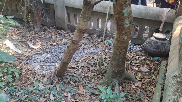 বিজয় দিবসের আগের রাত্রে মুক্তিযোদ্ধার কবরে আগুন