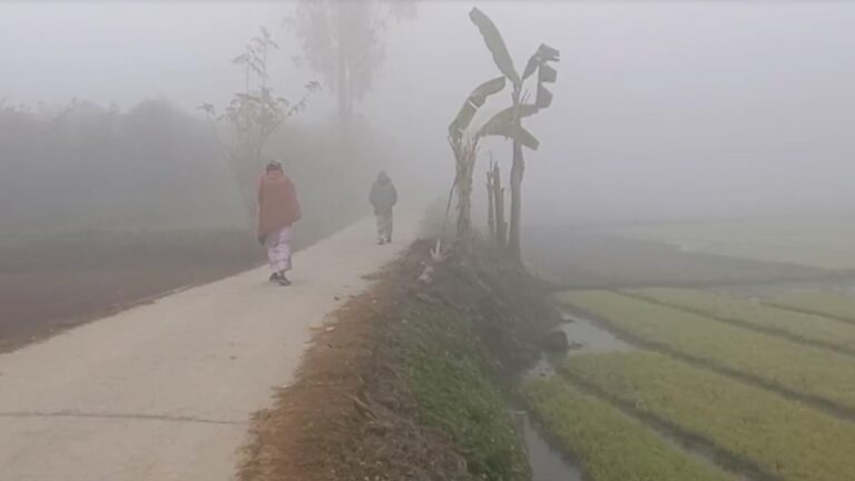 গাইবান্ধা ও কুড়িগ্রামে জেঁকে বসেছে শীত