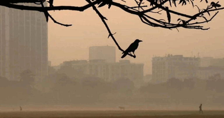 বাড়ছে শীত, ১৭ ডিগ্রিতে নামল ঢাকার তাপমাত্রা