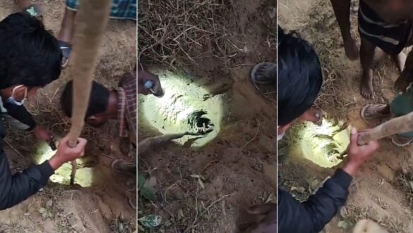 রাউজানে গভীর নলকূপের গর্তে পড়ে গেছে ৫ বছরের শিশু