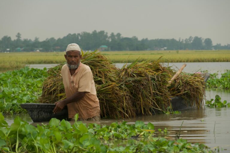 বৃষ্টিতে বিপর্যস্ত হাওর, ক্ষতিগ্রস্তদের সহায়তায় মাঠে জেলা প্রশাসক