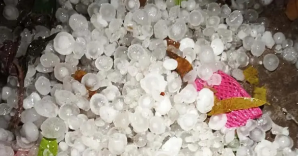 দেশের ৫ অঞ্চলের ওপর দিয়ে অস্থায়ীভাবে ঝড়ো হাওয়া ও বজ্রসহ বৃষ্টি হতে পারে। সেইসঙ্গে শিলাবৃষ্টিও হতে পারে বলে জানিয়েছে আবহাওয়া অধিদপ্তর।