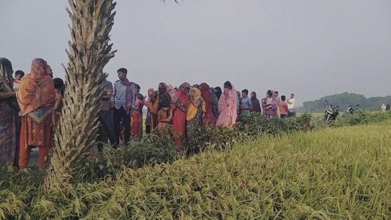 বেনাপোলে ধানক্ষেতে মিললো অজ্ঞাত ব্যক্তির মরদেহ