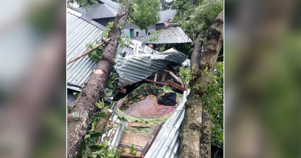 কালবৈশাখী ঝড়ে বাড়ির ওপর গাছ পড়ে মা ও দুই মেয়ে নিহত হয়েছেন।