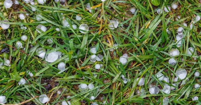 দেশে টানা ৩ দিন শিলাবৃষ্টির আশঙ্কা